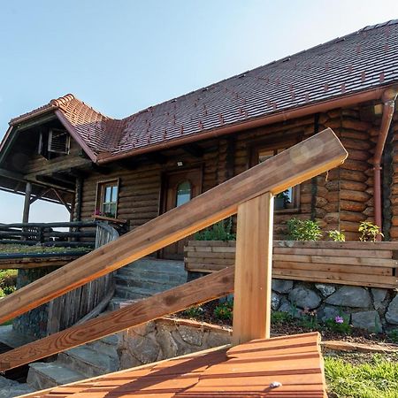 Apartmán Zidan'Ca Rosel Dolenjske Toplice Exteriér fotografie