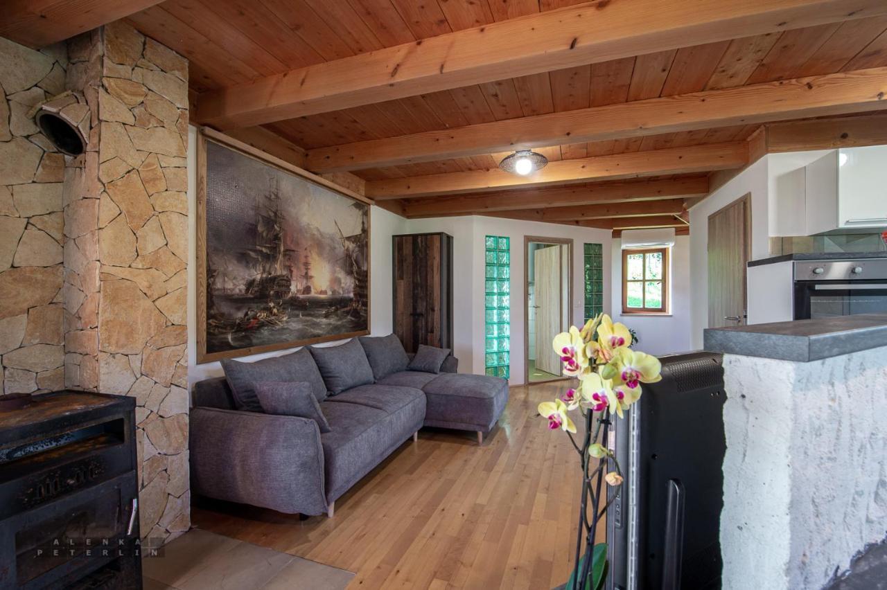 Apartmán Zidan'Ca Rosel Dolenjske Toplice Exteriér fotografie