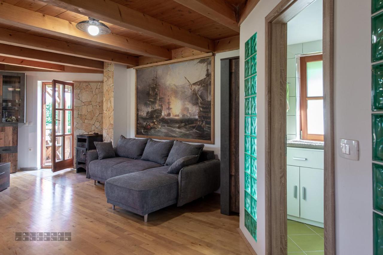 Apartmán Zidan'Ca Rosel Dolenjske Toplice Exteriér fotografie