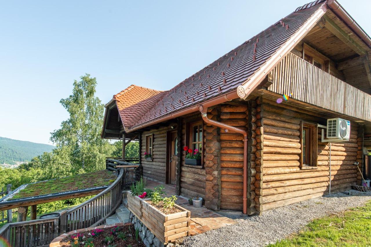 Apartmán Zidan'Ca Rosel Dolenjske Toplice Exteriér fotografie