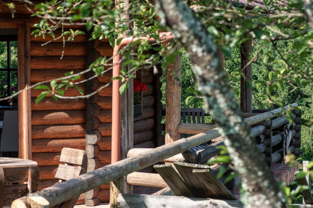 Apartmán Zidan'Ca Rosel Dolenjske Toplice Exteriér fotografie
