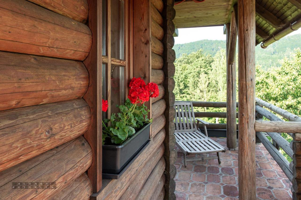 Apartmán Zidan'Ca Rosel Dolenjske Toplice Exteriér fotografie