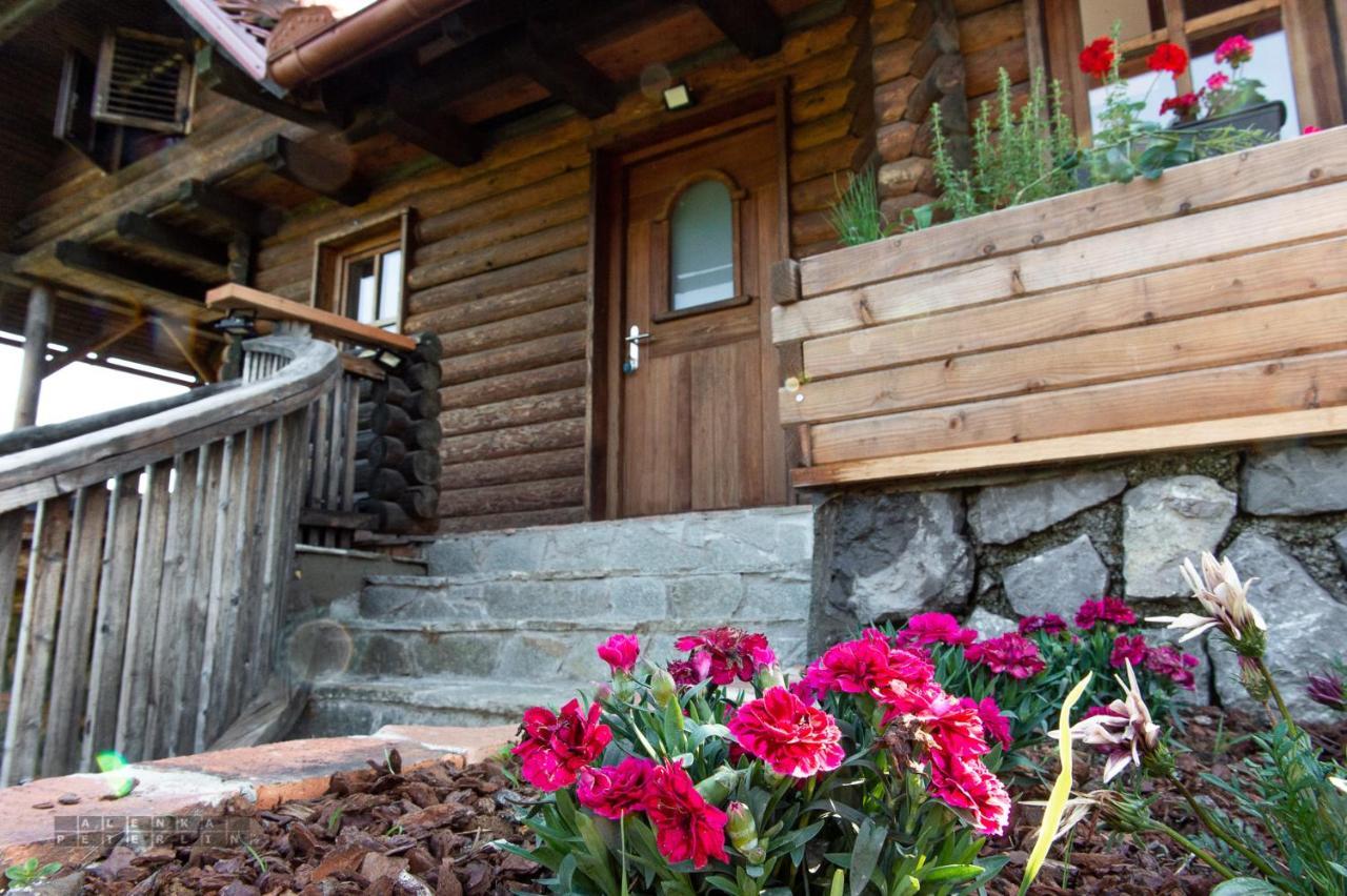 Apartmán Zidan'Ca Rosel Dolenjske Toplice Exteriér fotografie