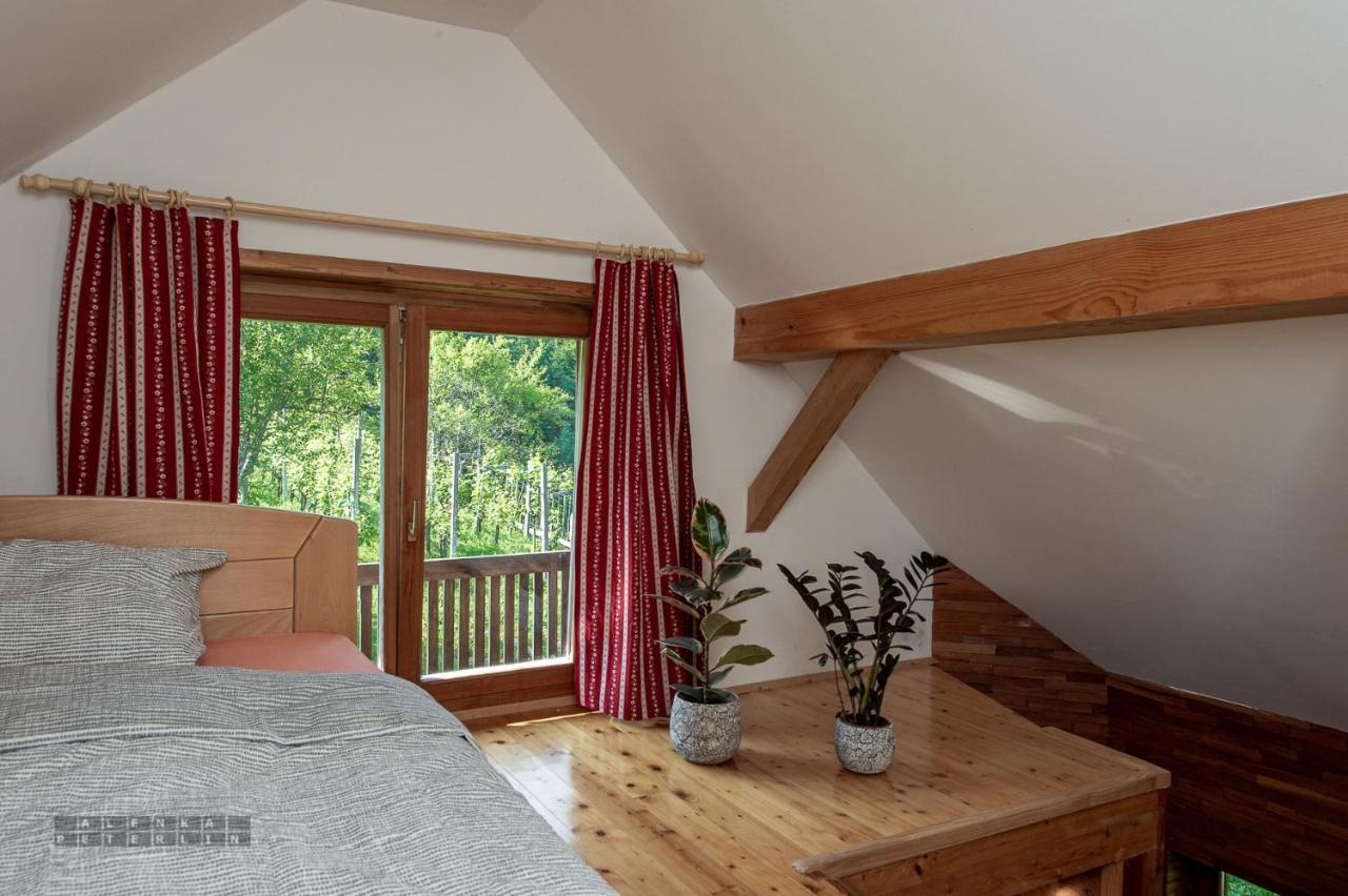 Apartmán Zidan'Ca Rosel Dolenjske Toplice Exteriér fotografie