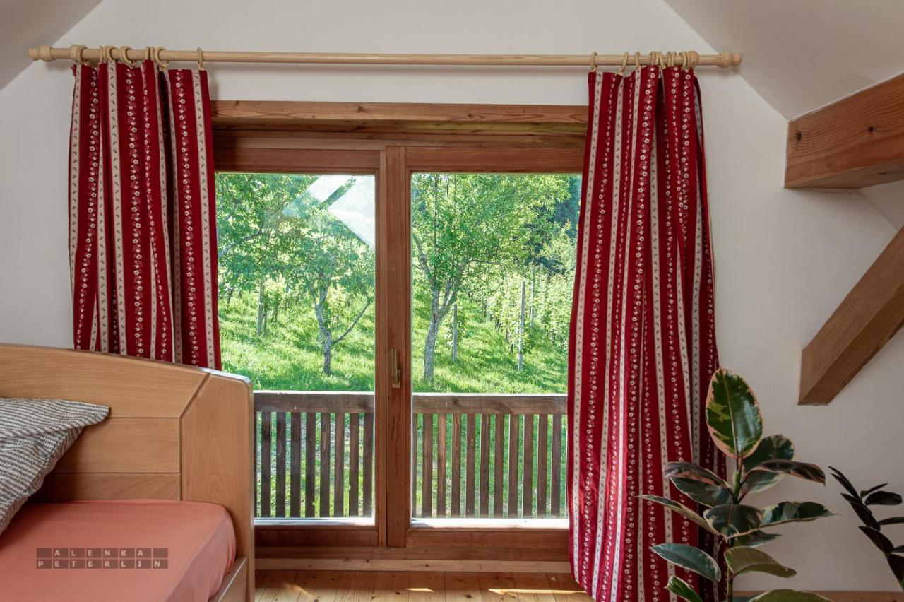 Apartmán Zidan'Ca Rosel Dolenjske Toplice Exteriér fotografie