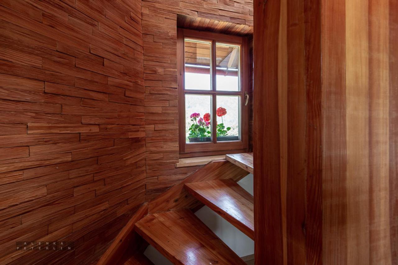 Apartmán Zidan'Ca Rosel Dolenjske Toplice Exteriér fotografie